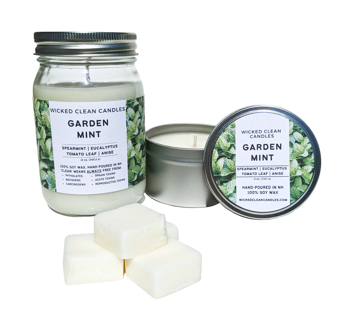 Garden Mint